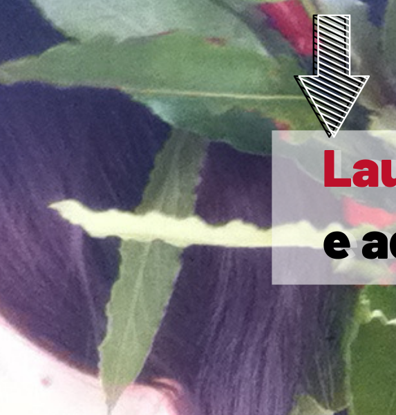 MI SONO LAUREATA IN UK, LAUREA IN UK, LAUREARSI IN GRAN BRETAGNA, STUDIARE IN GRAN BRETAGNA, STUDIARE IN UK, LAUREATA E ADESSO, DOPO LA LAUREA, IT, LAUREATA NEL SETTORE IT, LAUREA IN GRAFICA, LAUREA WEB, LAVORARE IN UK.png
