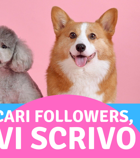 messaggio, messaggio per gli iscritti, annunciazione, blog italiani, blog da leggere, newsletter, iscriviti alla newsletter, profili instagram, youtuber da seguire, profili instagram da seguire, il mio canale youtube, cani carini, gatti carini, cani e gatti